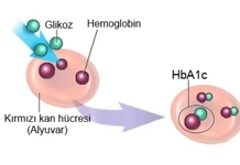 Glikozile Hemoglobin Nedir?
