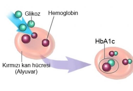 Hemoglobin A1c Dkl