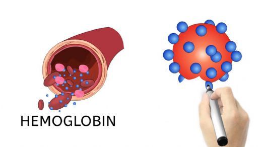 Hemoglobin A1c Referans Aralığı
