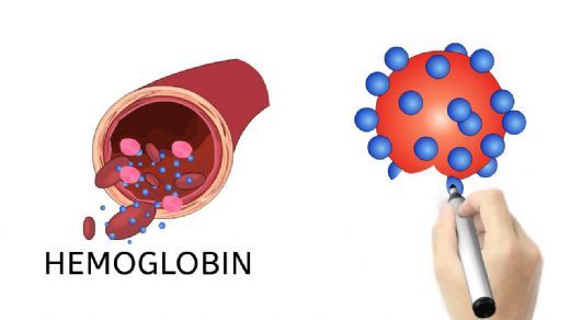 Hemoglobin A1c Referans Aral